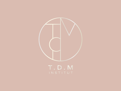 TDM institut