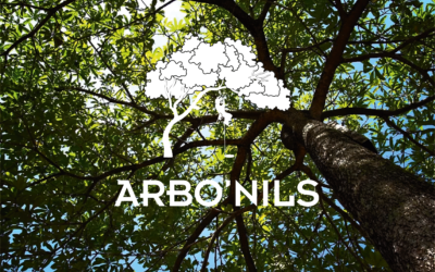 Arbo&rsquo;Nils