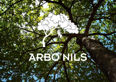 Arbo&rsquo;Nils