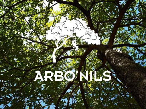 Arbo’Nils